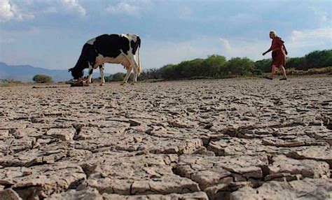 El Ministerio De Econom A Declar La Emergencia Agropecuaria En Tres