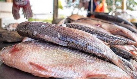 Cuánto aumentó el precio del pescado en la víspera de Semana Santa