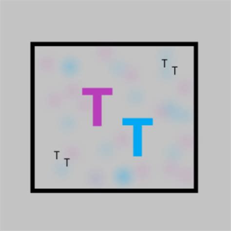 The Tentative Tutor Youtube