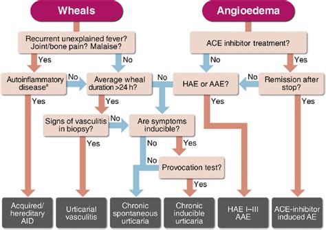 Urticaria Causes And Treatment