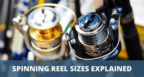 Spinning Reel Sizes How To Choose The Right Reel Size