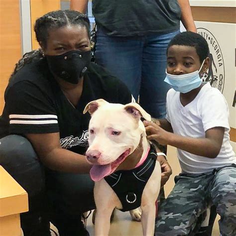 Animal lovers are praising the petco love lost facial recognition tech 13