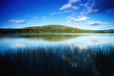 Types, Sources, and Solutions for Lake Pollution