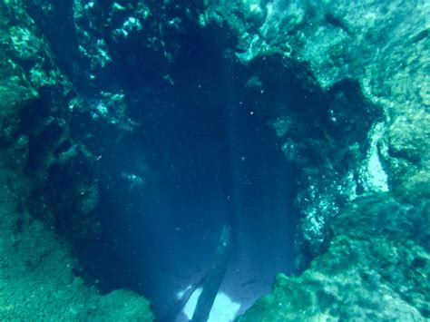 Freediving In Florida Springs Blue Hole Spring In Ichetucknee Spring