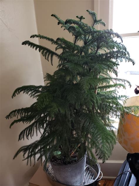 House to buy in norfolk listings are dropping in price today 17