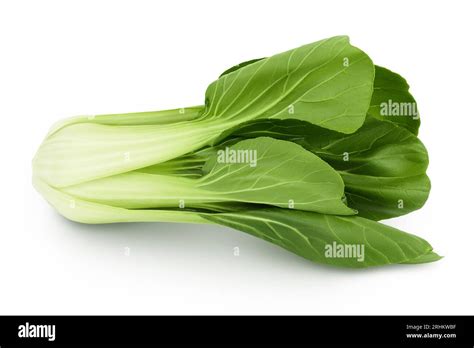 Fresh Pak Choi Cabbage Isolated On White Background With Full Depth Of