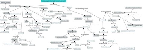 Vascularização e inervação do membro inferior - Anatomia Aplicada à Educação Física