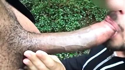 BBC Sucked In The Woods Gay Black Black Porn XHamster