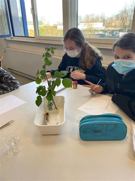 Biona Report Viii Technische Biologie Und Bionik 4