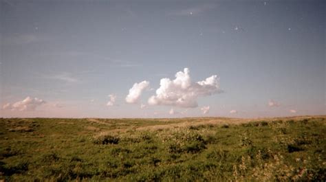 sample copy review of Pulsar x2 medium with shape comparisons : r ...