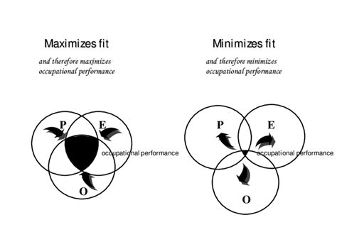 peo model showing  goodness  person environment occupation peo