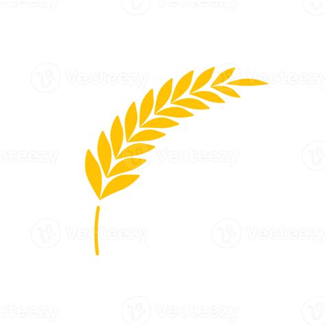 Ears Of Wheat Whole Grains For Making Bread 14494429 PNG