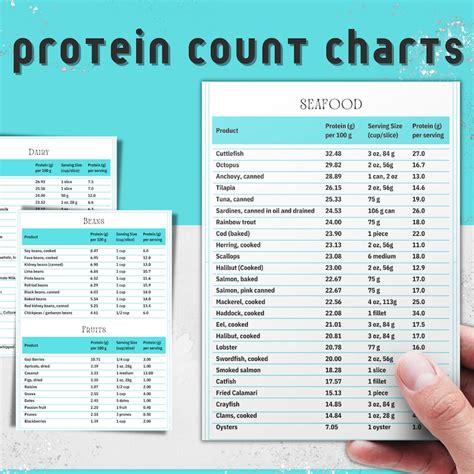 food chart  muscle gain etsy