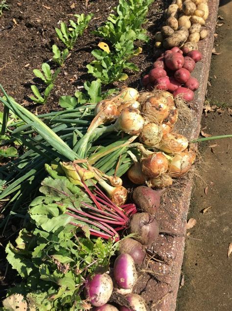 Autauga Master Gardeners Sprouting More Than Just Plants Elmore