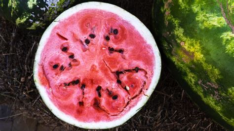 Watermelon Inside A Watermelon