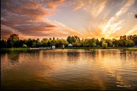 Sky Sunday Golden Sunsetgolden Lake Virily