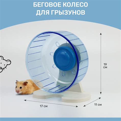 Колесо беговое для грызунов - купить с доставкой по выгодным ценам в ...