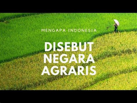 Mengapa Indonesia Disebut Sebagai Negara Agraris Youtube