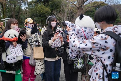 People In Tokyo Flock To Say Goodbye To Beloved Giant Panda Xiang Xiang