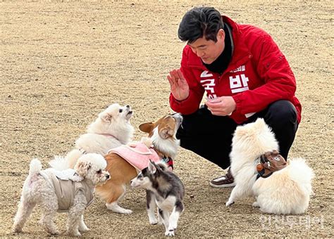 인천 서구갑 국힘 박세훈 반려동물 친화도시 공약 발표