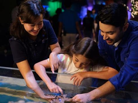 JAKARTA AQUARIUM Safari Tiket Dan Aktivitas