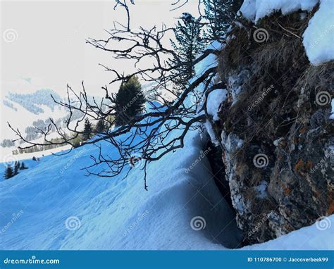 Winter Austria Snow Ice White Cold Lift Ski Snowboard Mountain Sun