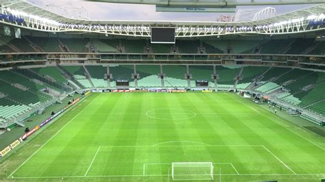 Palmeiras Inaugura Oficialmente Grama Sint Tica Giroesportesnews