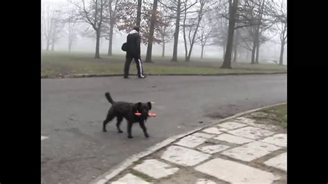 La Porcona Del Parco Di Milano Episode Italian Amateur Porn Xhamster