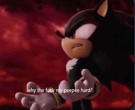 Why The Fuck My Peepee Hard Blank Template Imgflip