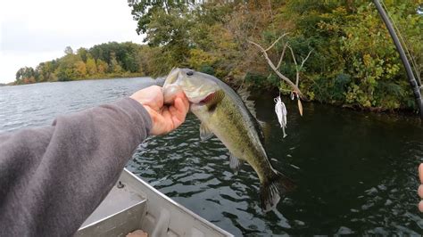 Bass Fishing Glenn Springs Lake With Spinnerbait Fall Transition