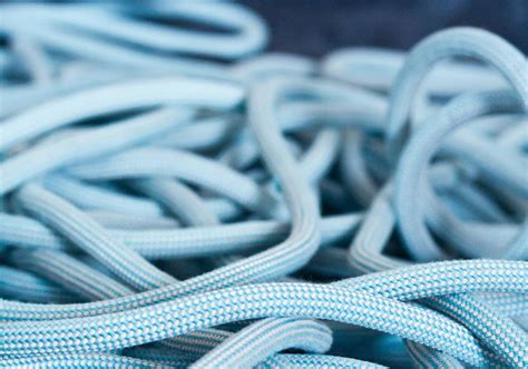 bungee cord digital organics