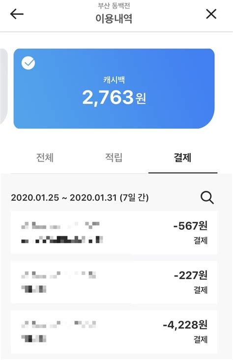 부산 지역화폐 동백전 사용 후기 주의사항 2월달 캐시백 이벤트 6 10연장 네이버 블로그