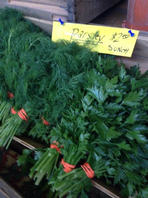 Ithaca Farmer’s Market | Anthony Leberto