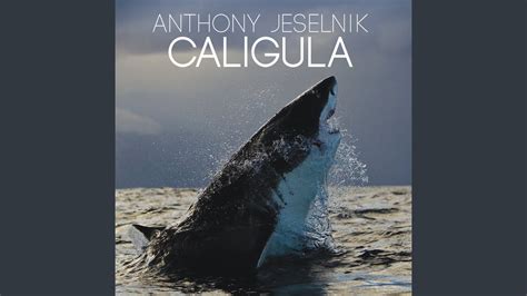 Shut The Fuck Up YouTube