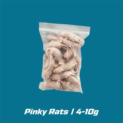 Frozen Rats For Sale Polar Rodents