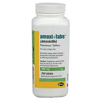 Amoxicillin for Dogs & Cats - Tablets & More - KVSupply.com