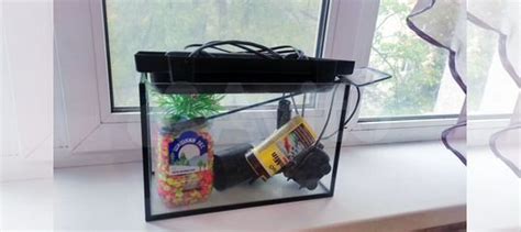 Аквариум 6 литров со всем необходимым купить в Москве | Животные и ...