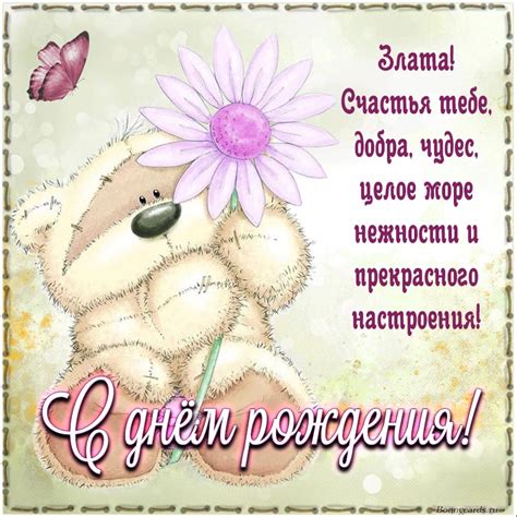 Супер открытка с забавным медведем и бабочкой Злате на день рождения