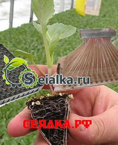 Сеялка ручная в кассеты под рассаду - Оборудование для питомников ...