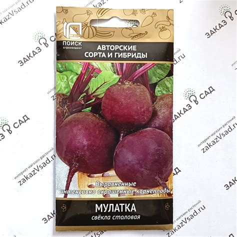 Купить семена свеклы Мулатка ⭐ Описание, фото сорта