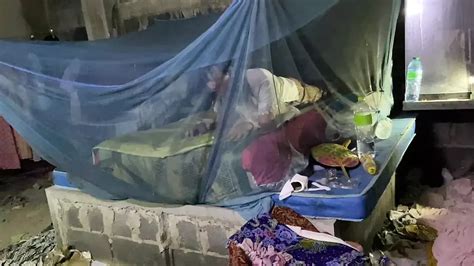 Newest 720p HD Shemale Porn Videos Free Sex Movies XHamster