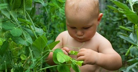 Get Undressed For World Naked Gardening Day Your Daily Dish