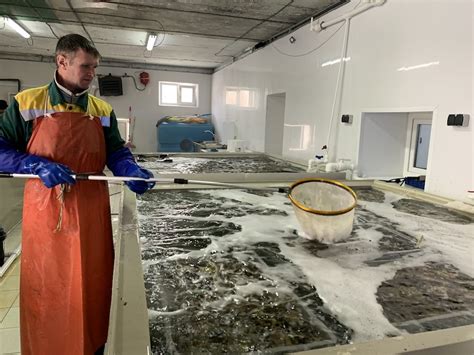 КИТ - рыба и морепродукты