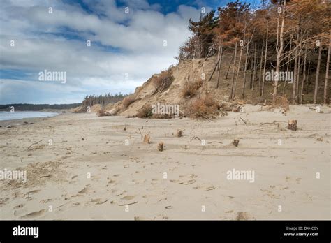Uk Anglesey Newborough 21st March 2014 Beach View Near Llanddwyn
