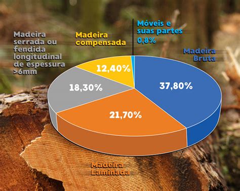 Madeira bruta lidera ranking das exportações brasileiras do segmento