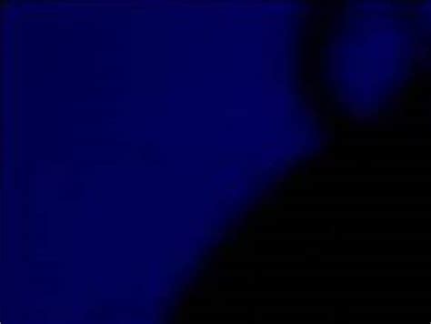 SHEENA SAKAI Nude AZNude