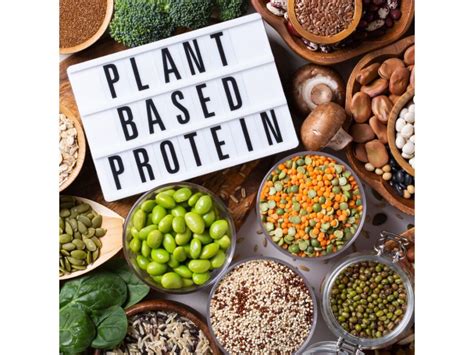 Whey Protein vs Plant Protein - Which is Best? - Nutrabay Magazine