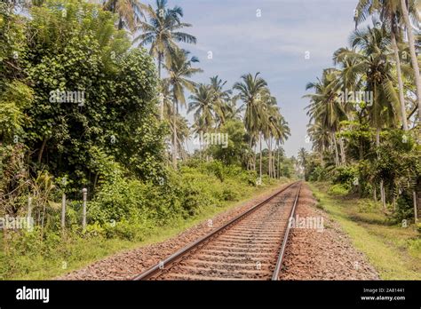 Cómo Trabajar En El Tren Maya Guía Práctica Paso A Paso