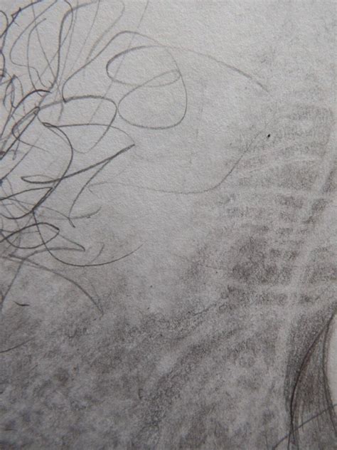 ORIGINAL PENCIL DRAWING Of A Male Nude Phallus Hand Drawn Fine Art Illustration EUR