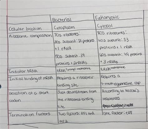 Chapter 12 Biology Flashcards | Quizlet